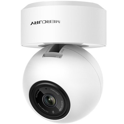 全州县水星400万小球机